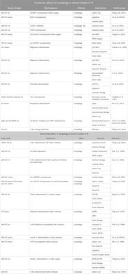 Role of autophagy in ischemic stroke: insights from animal models and preliminary evidence in the human disease